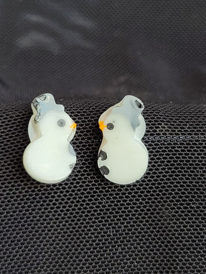 Resin Post Earrings