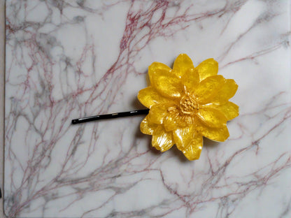 Resin Hair Clips & Bobby Pins