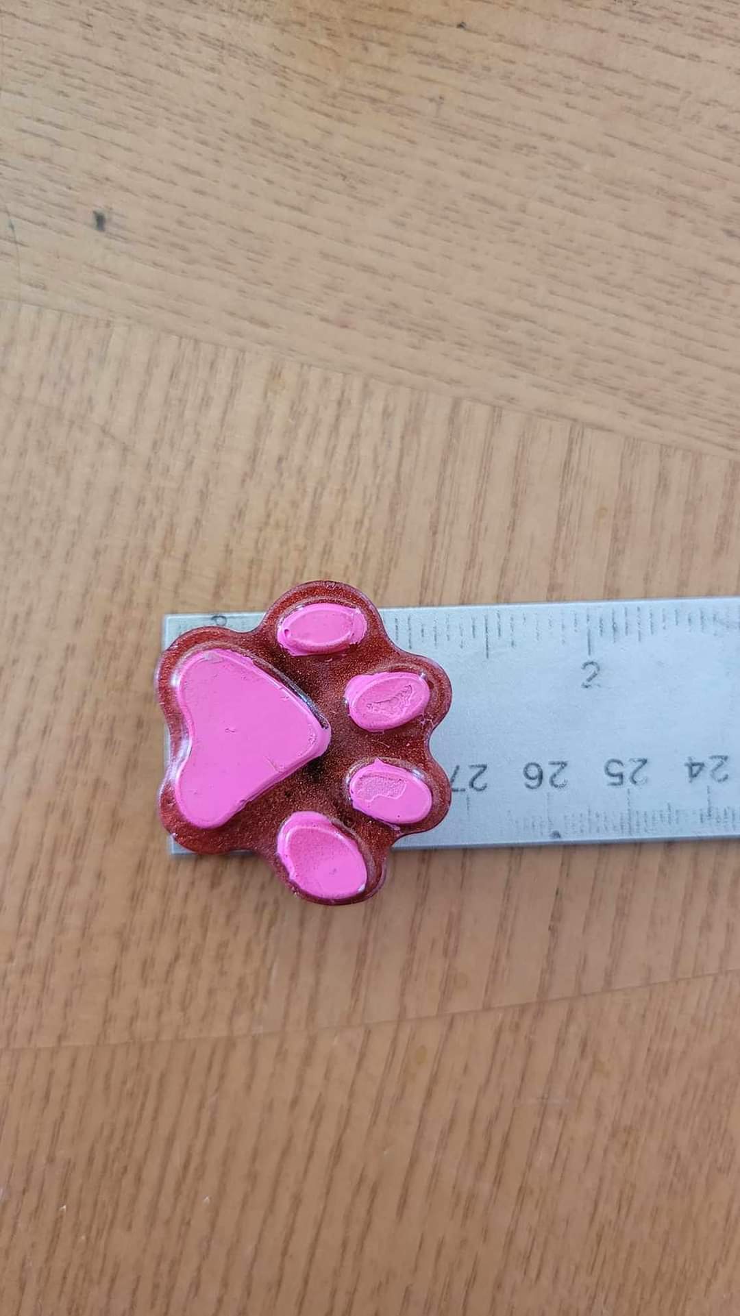 Large Paw Print Magnets