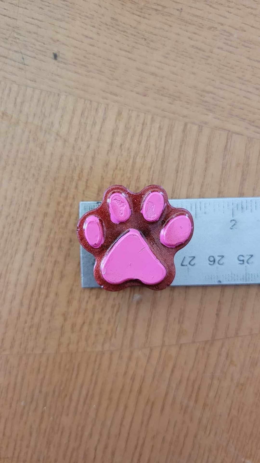 Large Paw Print Magnets